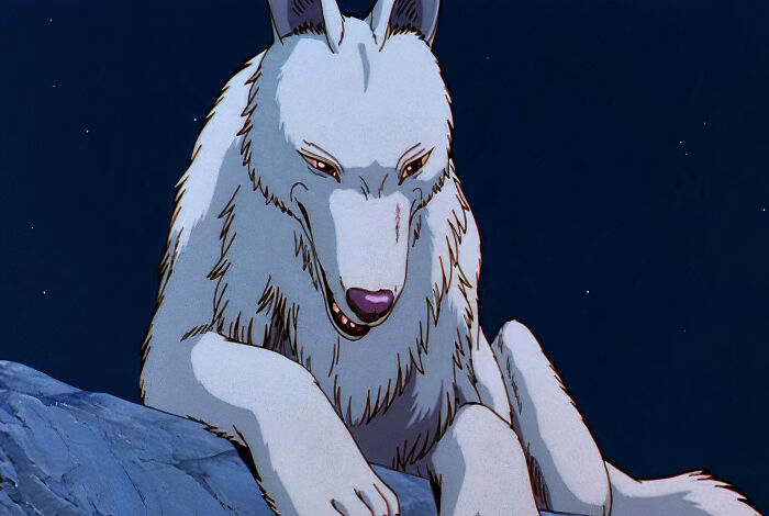 The Best Animal Anime Characters You’ll Fall In Love With The Best Animal Anime Characters You’ll Fall In Love With