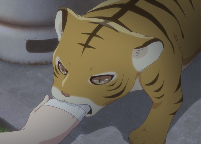 The Best Animal Anime Characters You’ll Fall In Love With The Best Animal Anime Characters You’ll Fall In Love With