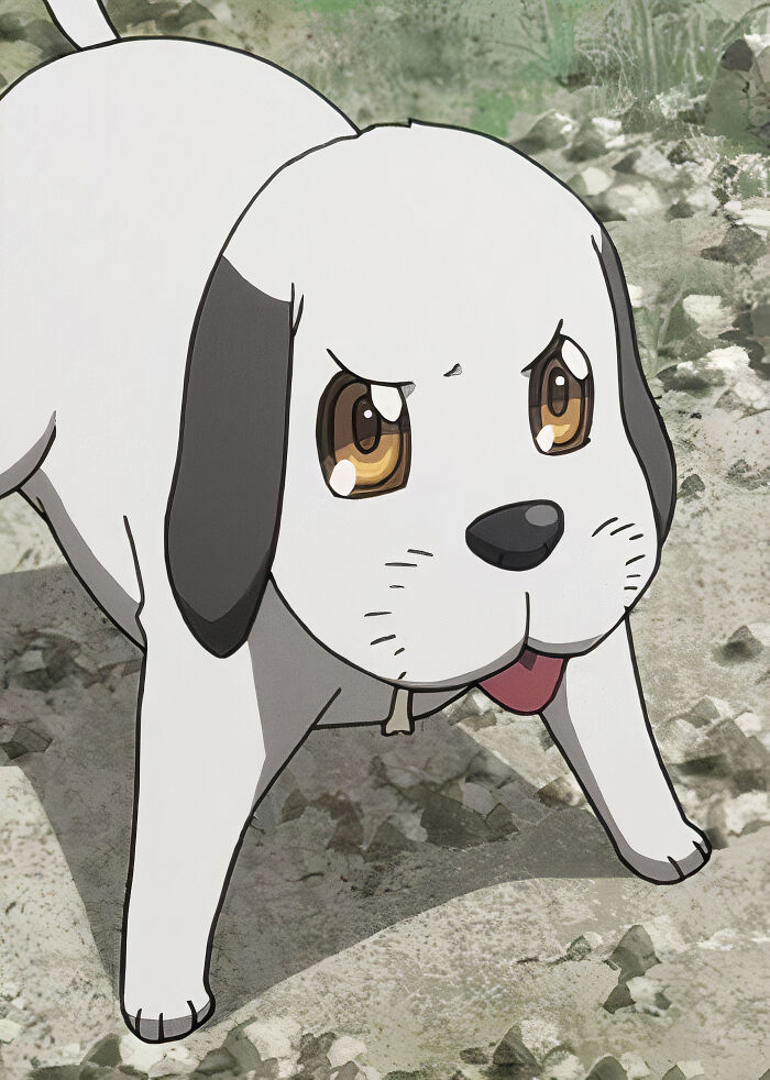 The Best Animal Anime Characters You’ll Fall In Love With The Best Animal Anime Characters You’ll Fall In Love With