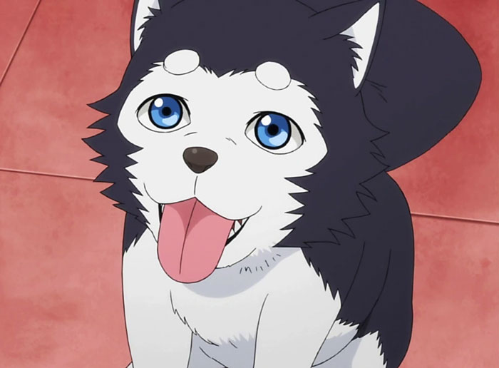 The Best Animal Anime Characters You’ll Fall In Love With The Best Animal Anime Characters You’ll Fall In Love With