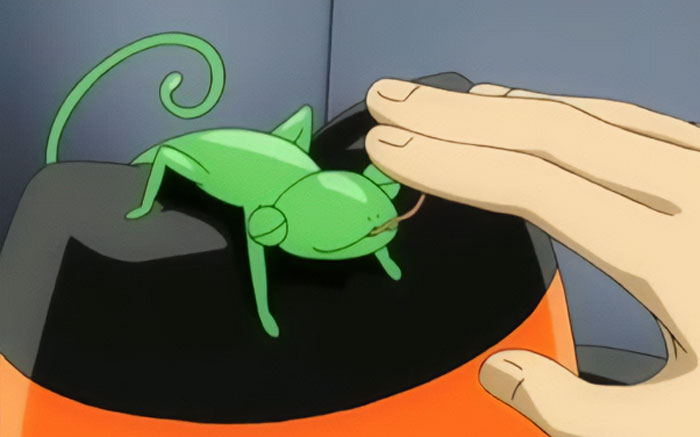 The Best Animal Anime Characters You’ll Fall In Love With The Best Animal Anime Characters You’ll Fall In Love With