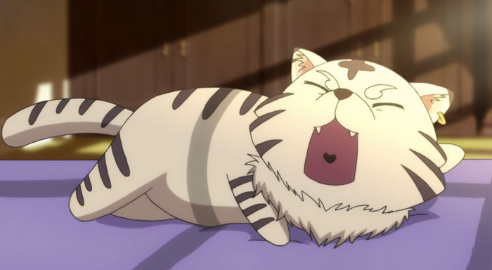 The Best Animal Anime Characters You’ll Fall In Love With The Best Animal Anime Characters You’ll Fall In Love With
