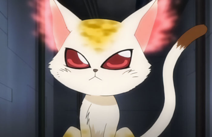 The Best Animal Anime Characters You’ll Fall In Love With The Best Animal Anime Characters You’ll Fall In Love With