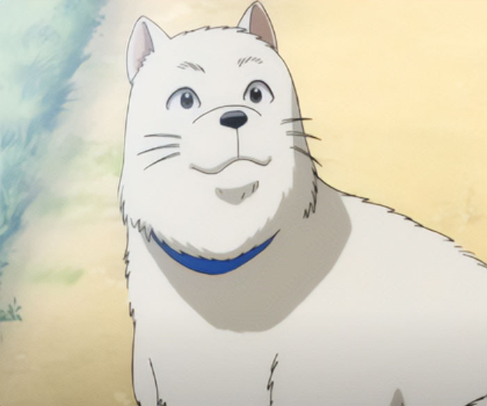 The Best Animal Anime Characters You’ll Fall In Love With The Best Animal Anime Characters You’ll Fall In Love With