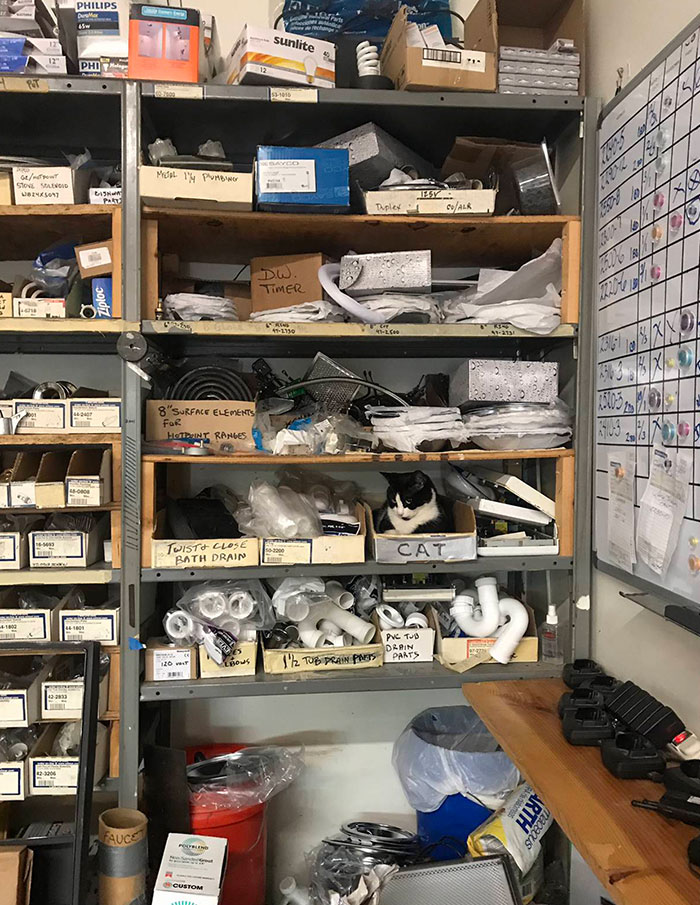 50 Real-Life ‘When You See It’ Moments That You Might Need To Stare At For A While