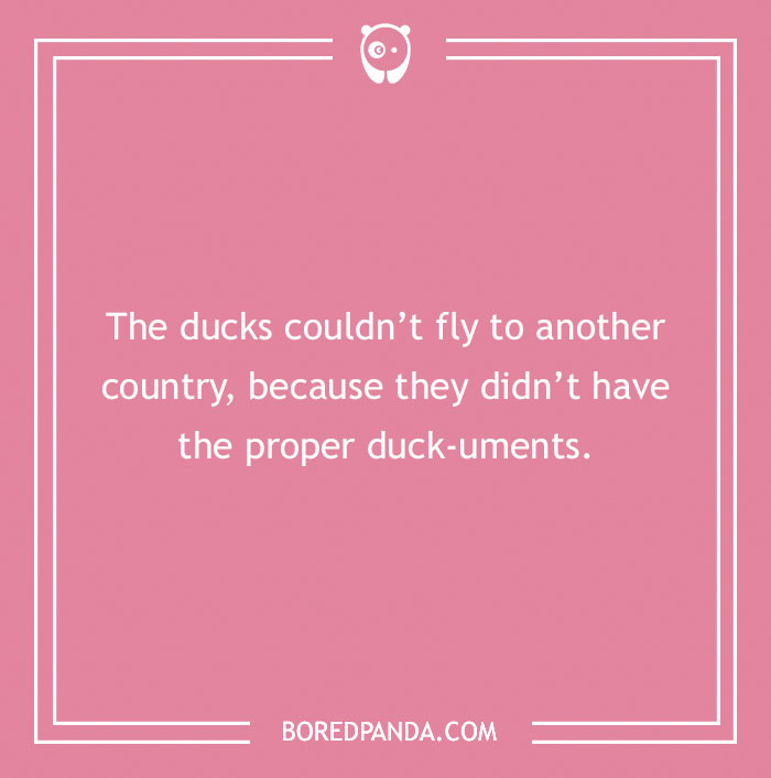 149 Duck Puns That Might Quack You Up