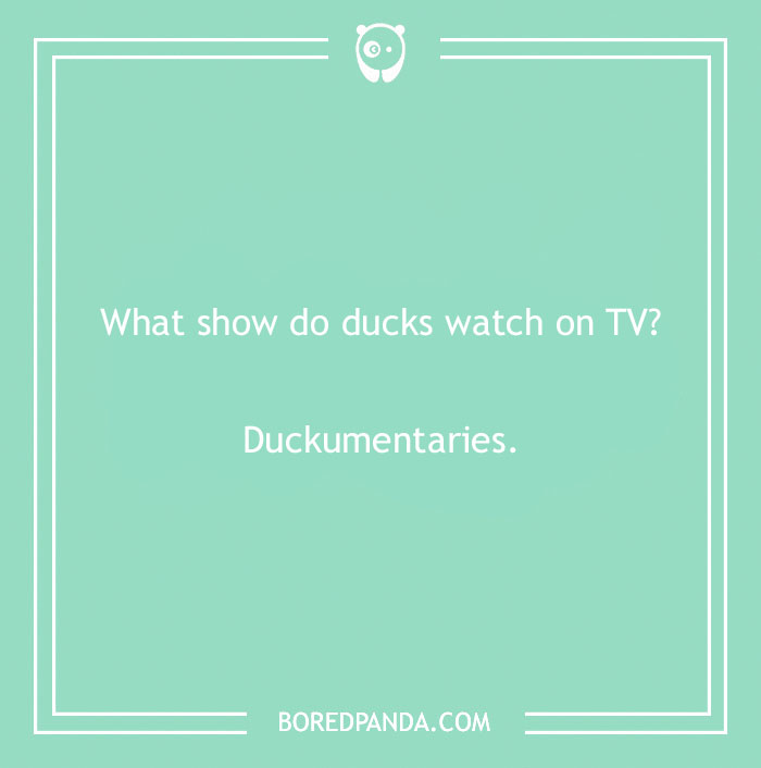 149 Duck Puns That Might Quack You Up