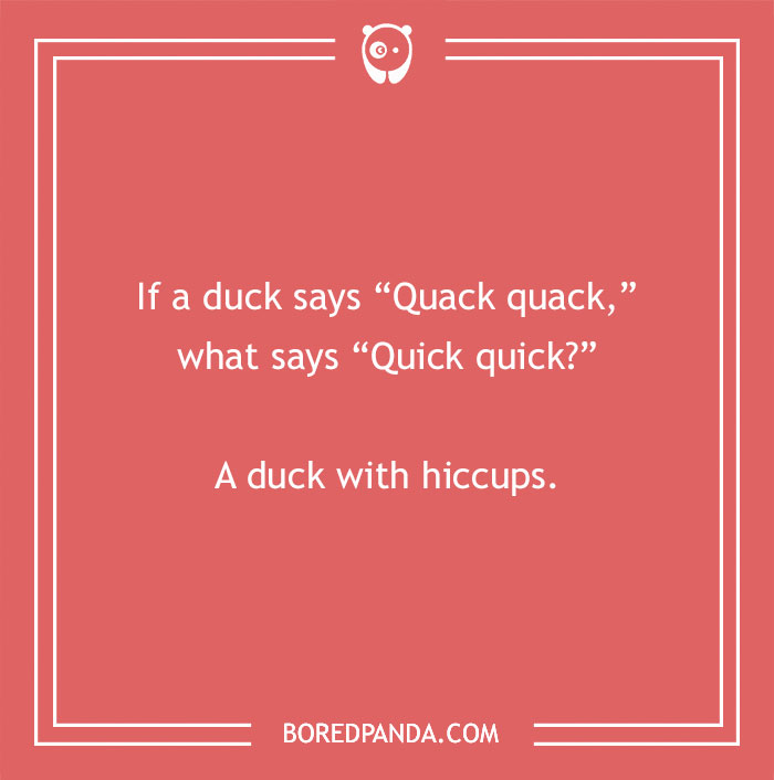 149 Duck Puns That Might Quack You Up