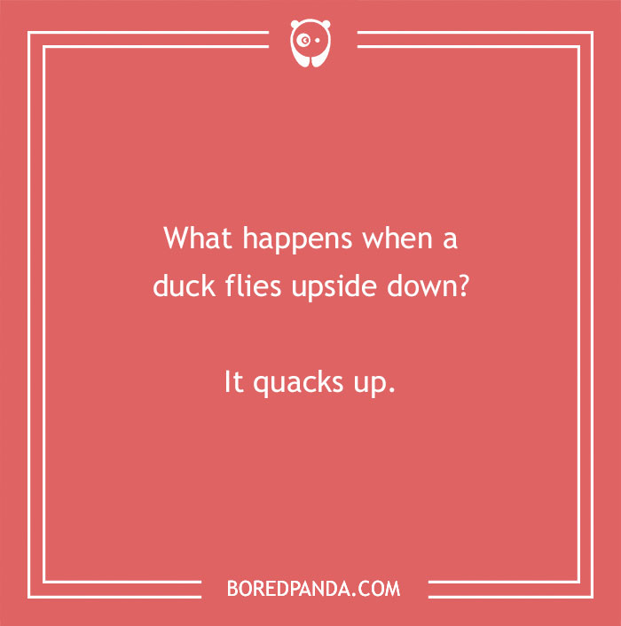 149 Duck Puns That Might Quack You Up 149 Duck Puns That Might Quack You Up