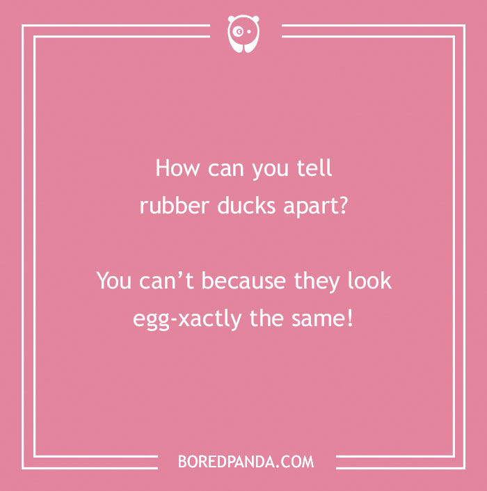 149 Duck Puns That Might Quack You Up