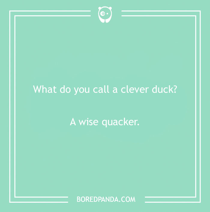 149 Duck Puns That Might Quack You Up 149 Duck Puns That Might Quack You Up