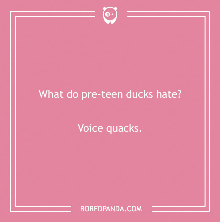 149 Duck Puns That Might Quack You Up