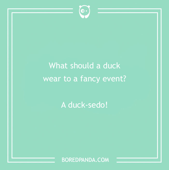 149 Duck Puns That Might Quack You Up