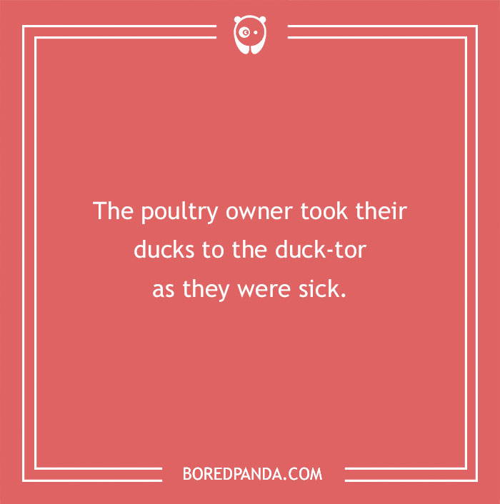 149 Duck Puns That Might Quack You Up 149 Duck Puns That Might Quack You Up