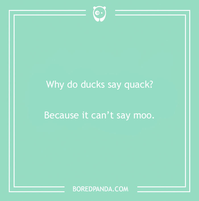 149 Duck Puns That Might Quack You Up