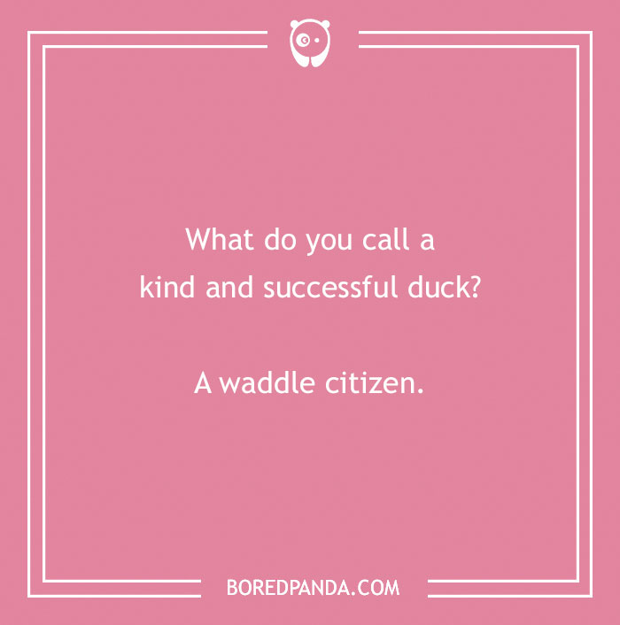 149 Duck Puns That Might Quack You Up