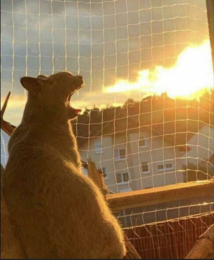 People In This Group Are Sharing 50 Seriously Confusing Pics That Need To Be Looked At Twice To Understand What’s Happening (New Pics) People In This Group Are Sharing 50 Seriously Confusing Pics That Need To Be Looked At Twice To Understand What’s Happening (New Pics)