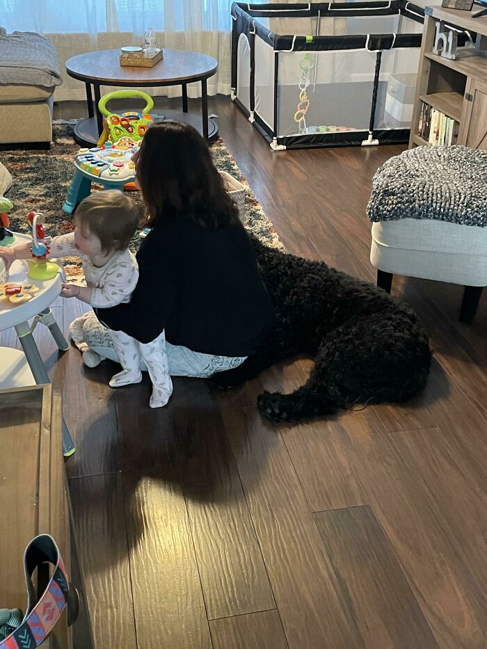 People In This Group Are Sharing 50 Seriously Confusing Pics That Need To Be Looked At Twice To Understand What’s Happening (New Pics) People In This Group Are Sharing 50 Seriously Confusing Pics That Need To Be Looked At Twice To Understand What’s Happening (New Pics)