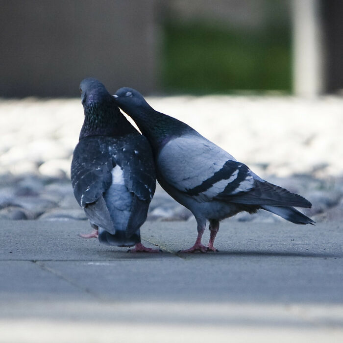 35 Of The Most Soul-Crushing Things Folks Have Ever Heard Someone Say, As Shared By People In This Online Group