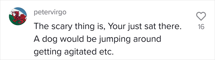 To Show How Dangerous It Is To Leave A Dog In A Car On A Hot Day, RSPCA Officer Trapped Himself In A Car For 25 Minutes To Show How Dangerous It Is To Leave A Dog In A Car On A Hot Day, RSPCA Officer Trapped Himself In A Car For 25 Minutes