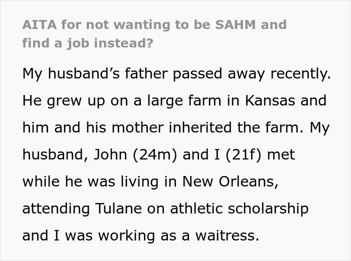 Woman Gets Into Fight With Husband And His Family After Refusing To Be A Stay-At-Home Mom, Asks The Internet For Advice