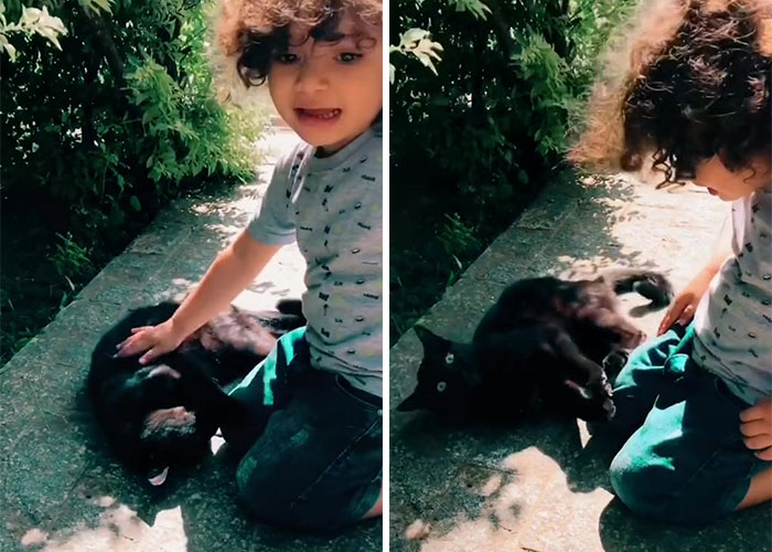 Millions Of People Rejoice At Hilarious Video Of Cat Rescuing House Keys From Hole