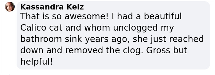 Millions Of People Rejoice At Hilarious Video Of Cat Rescuing House Keys From Hole