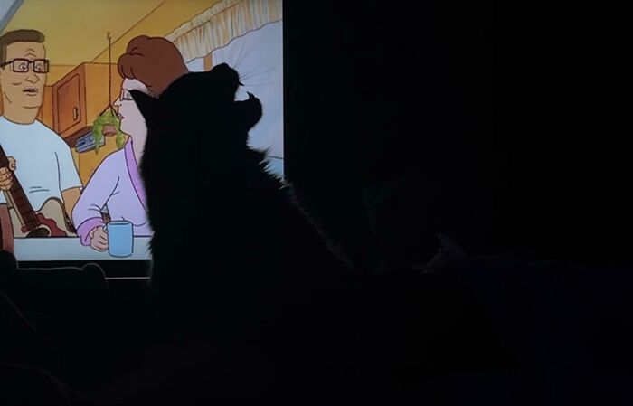 People Are Posting Pics Of Cats Radiating Powerful Meow Energy In This Group That Has Over 590k Members, And Here Are 50 Of The Best Pics (New Pics) People Are Posting Pics Of Cats Radiating Powerful Meow Energy In This Group That Has Over 590k Members, And Here Are 50 Of The Best Pics (New Pics)