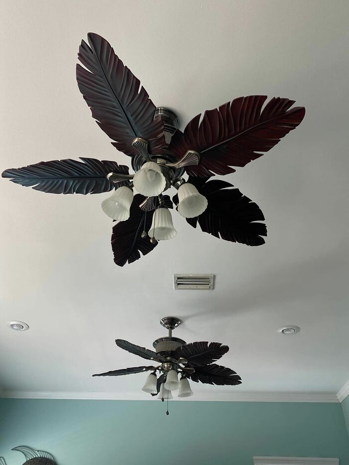 35 Times Designers Forgot Things Need To Be Cleaned When Creating Them, As Shared On This Facebook Group (New Pics) 35 Times Designers Forgot Things Need To Be Cleaned When Creating Them, As Shared On This Facebook Group (New Pics)