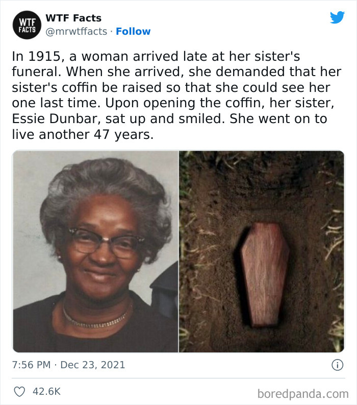 50 Random Facts That Sound Super Weird But Are Totally True, As Shared By This Twitter Account (New Pics) 50 Random Facts That Sound Super Weird But Are Totally True, As Shared By This Twitter Account (New Pics)