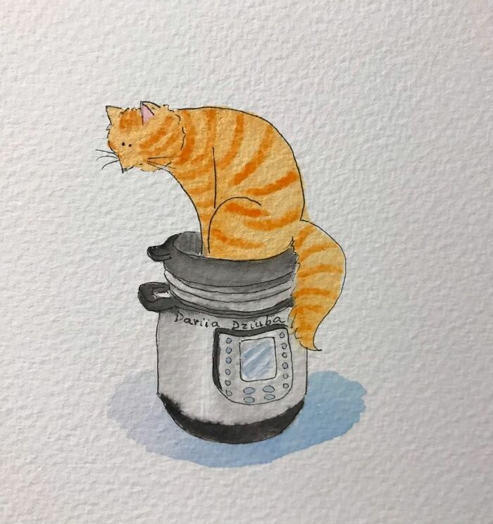 I Made These 40 Amusing Illustrations That Show The Perks Of Living With A Cat I Made These 40 Amusing Illustrations That Show The Perks Of Living With A Cat