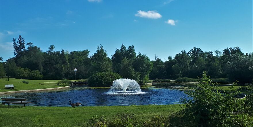 I Took Photos Of Assiniboine Park & English Gardens On A Hot, Muggy Day (25 Pics) I Took Photos Of Assiniboine Park & English Gardens On A Hot, Muggy Day (25 Pics)