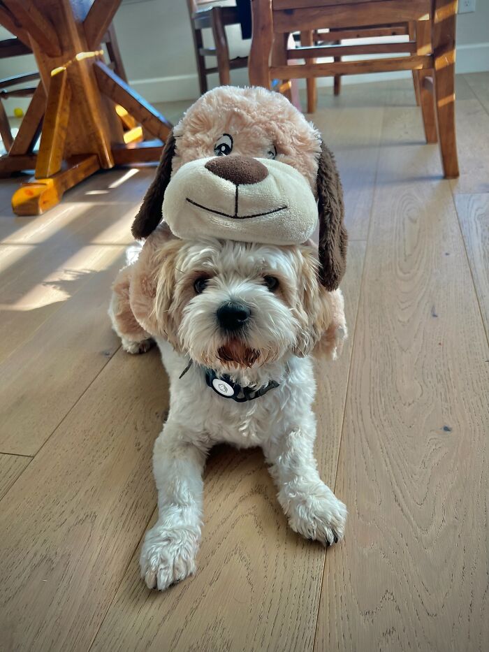 Hey Pandas, Post A Picture Of Something That Is Really Special To You (Closed) Hey Pandas, Post A Picture Of Something That Is Really Special To You (Closed)