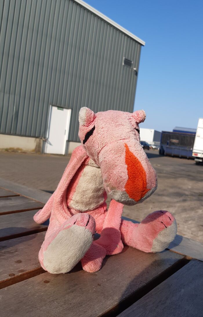 Hey Pandas, Post A Picture Of Something That Is Really Special To You (Closed) Hey Pandas, Post A Picture Of Something That Is Really Special To You (Closed)