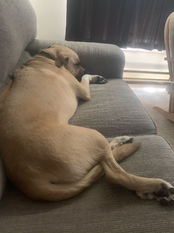 Hey Pandas, Post A Picture Of Something That Is Really Special To You (Closed) Hey Pandas, Post A Picture Of Something That Is Really Special To You (Closed)