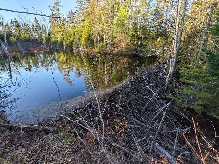 35 Examples Of Brilliant Infrastructure That Show Why Engineers Who Think Outside The Box Must Be Celebrated, As Shared In This Group (New Pics)