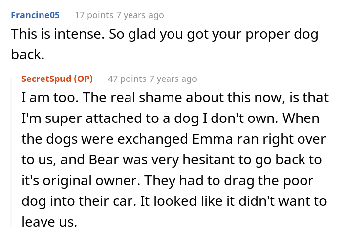 “Mentally, She Was Not There”: Person Gets Their Dog Back From The Groomer, Realizes It’s Acting Weird But Keeps Living With It For Four Months Until The Truth Comes Out “Mentally, She Was Not There”: Person Gets Their Dog Back From The Groomer, Realizes It’s Acting Weird But Keeps Living With It For Four Months Until The Truth Comes Out