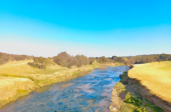 Hey Pandas, Edit This Picture