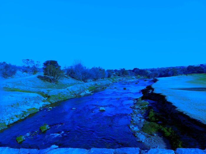 Hey Pandas, Edit This Picture