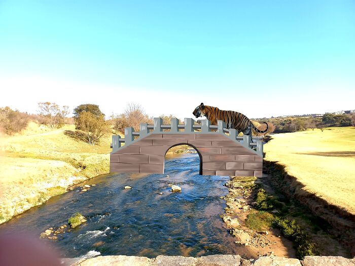 Hey Pandas, Edit This Picture Hey Pandas, Edit This Picture