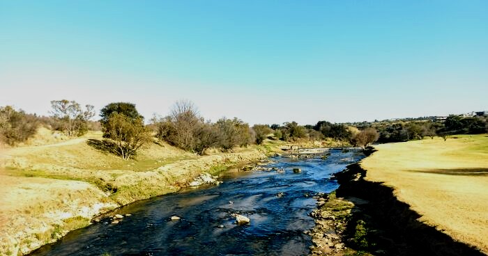 Hey Pandas, Edit This Picture