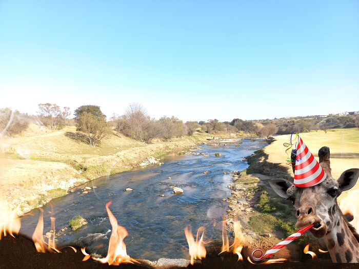 Hey Pandas, Edit This Picture Hey Pandas, Edit This Picture