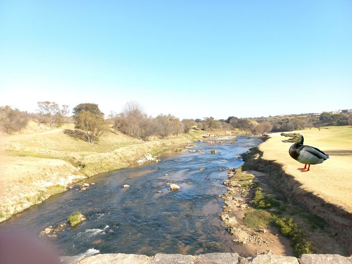 Hey Pandas, Edit This Picture Hey Pandas, Edit This Picture