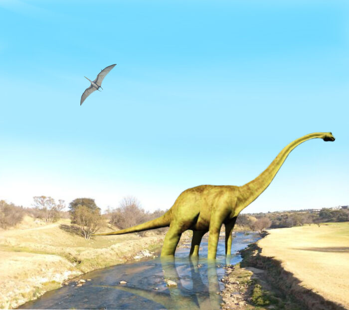 Hey Pandas, Edit This Picture