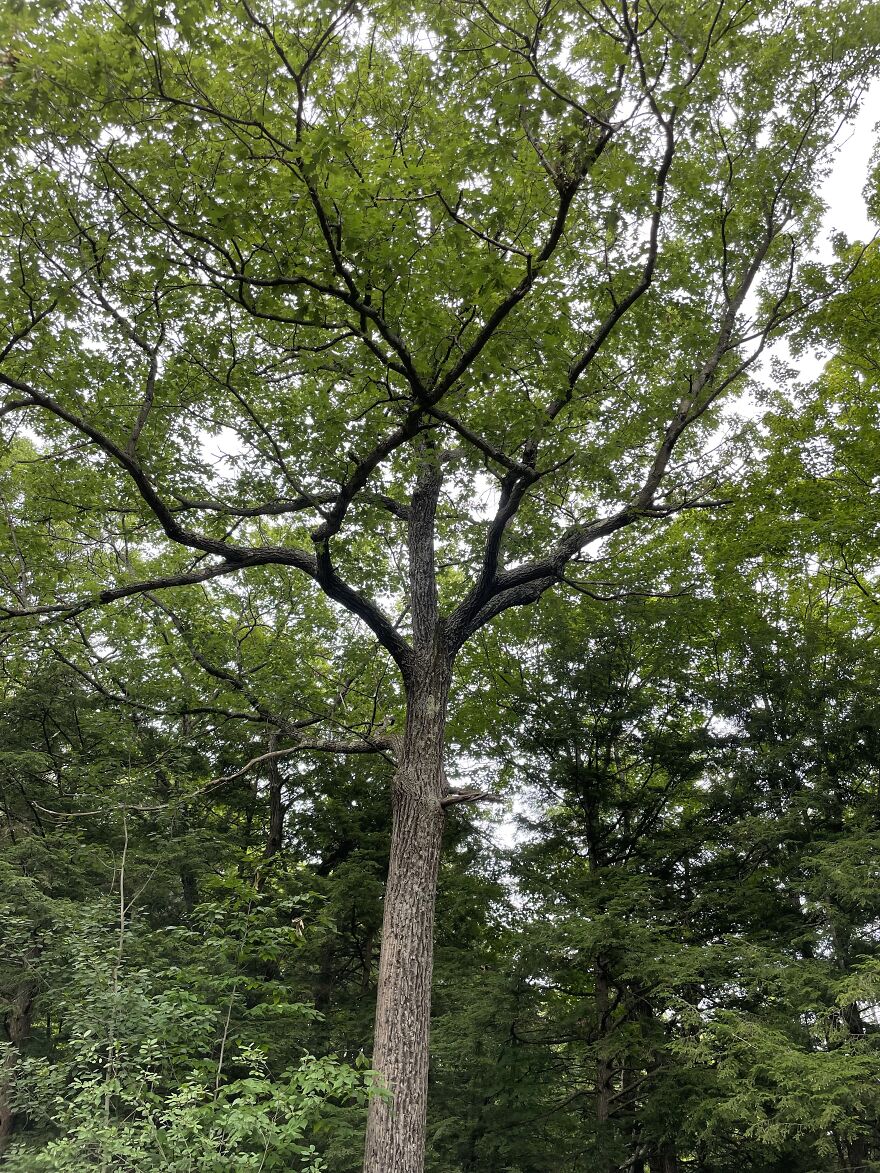 I Made A Small Collection Of My Nature Photography (18 Pics) I Made A Small Collection Of My Nature Photography (18 Pics)