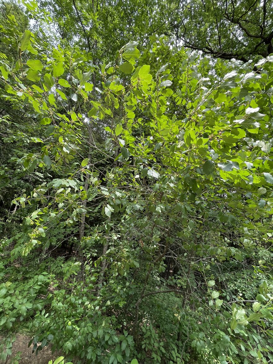 I Made A Small Collection Of My Nature Photography (18 Pics) I Made A Small Collection Of My Nature Photography (18 Pics)