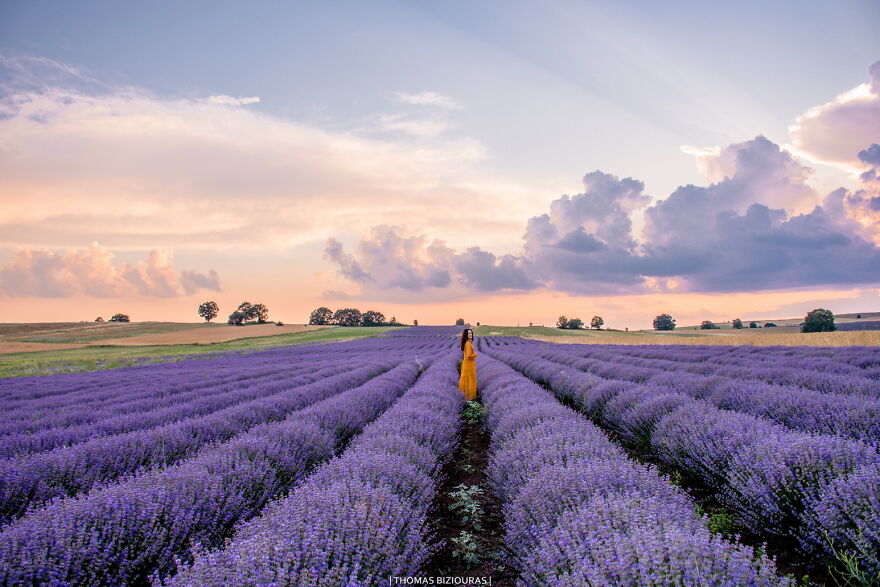A Lavender Fairytale: 7 Photos By Me A Lavender Fairytale: 7 Photos By Me