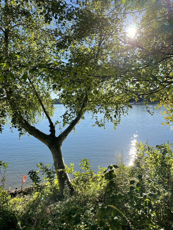 Hey Pandas, Post A Picture Of Your Favorite Summer Activity Hey Pandas, Post A Picture Of Your Favorite Summer Activity