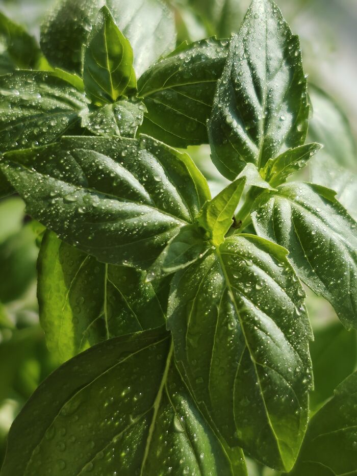 Hey Pandas, Post A Picture Of Your Favorite Summer Activity Hey Pandas, Post A Picture Of Your Favorite Summer Activity