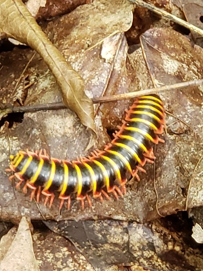 Hey Pandas, Post A Picture Of Your Favorite Summer Activity Hey Pandas, Post A Picture Of Your Favorite Summer Activity